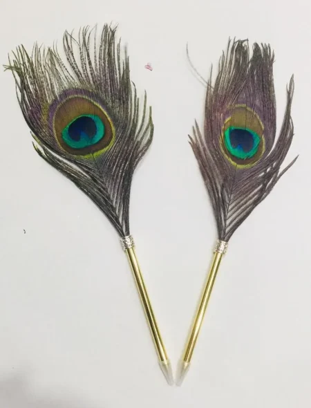 Nikkah Surprised Antique Real Peacock Feather Pen