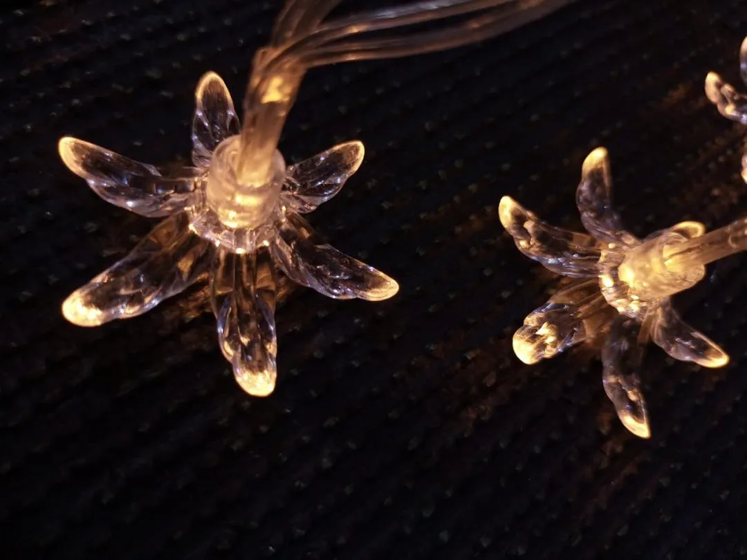 bca14b88-2071-4be3-af08-3a8e8468ff63